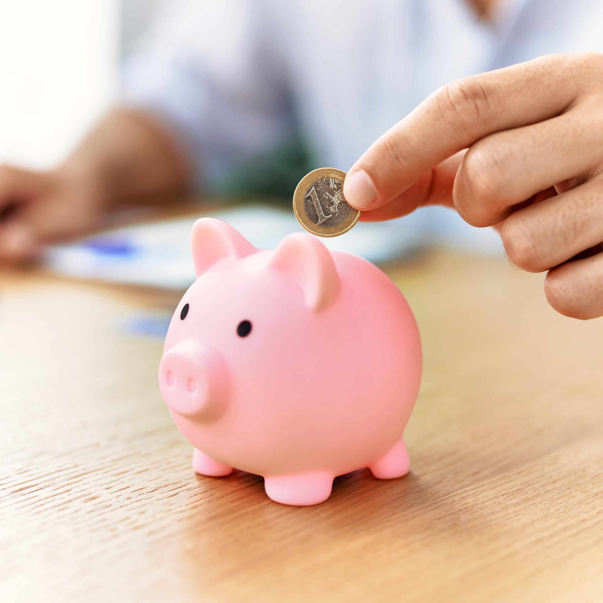 Rosa Sparschwein in das eine Personen einen Euro hinein tut