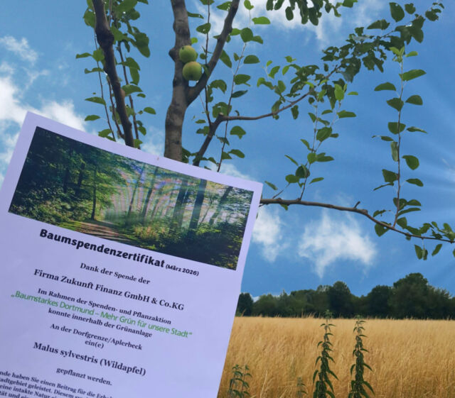 Ein Wildapfelbaum mit einem Zertifikat